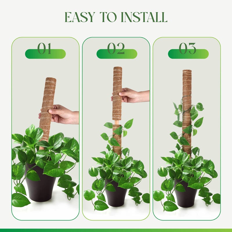 Pisol Moss Pole for Plants Monstera  Extendable Plant Sticks Support  Plant Stakes for Indoor Potted Plant  15.7'' Coco Coir Pole Plant Trellis for Sphagnum  Pothos and Other Climbing Plants(2 PCS) - Image 4